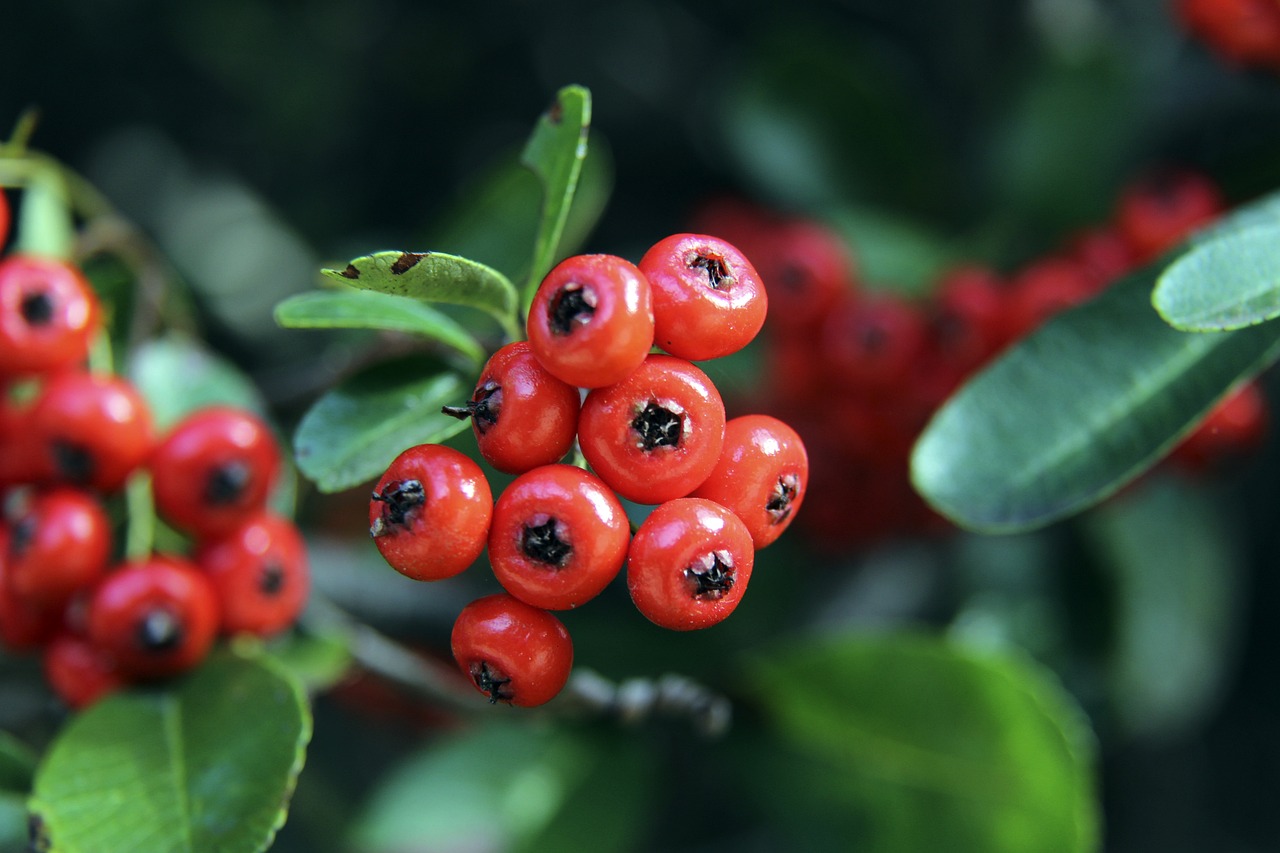 A比赛风格 A比赛风格