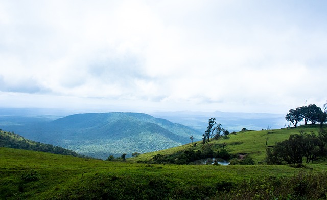 了球队的心 了球队的心
