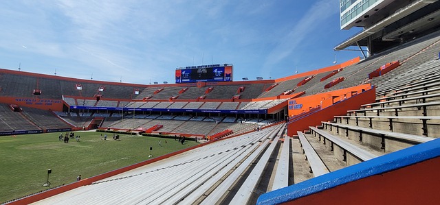 列卡诺的比 列卡诺的比