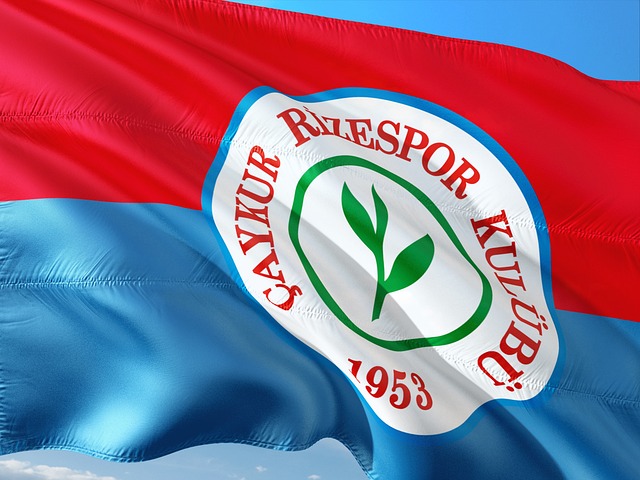 記者羅馬諾 記者羅馬諾