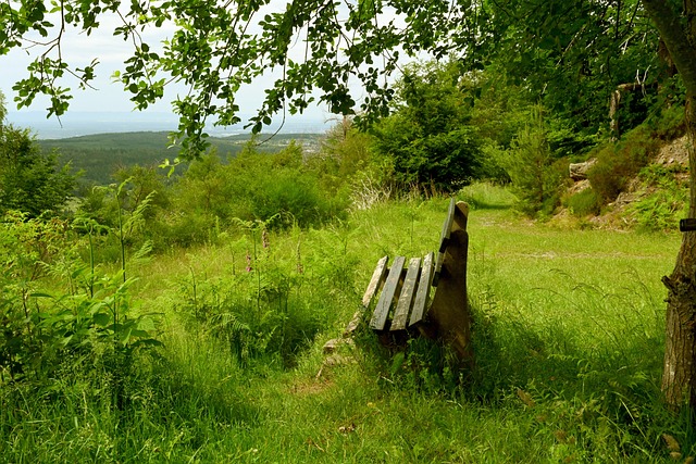 优化后场阵 优化后场阵