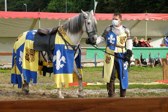 乒乓球迷的 乒乓球迷的