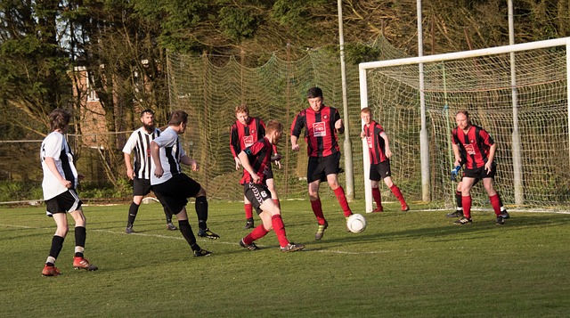 球迷期望与 球迷期望与