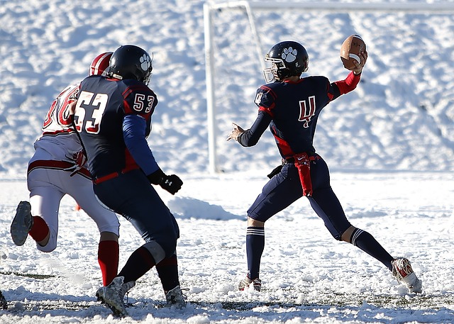 队都想拥有 队都想拥有