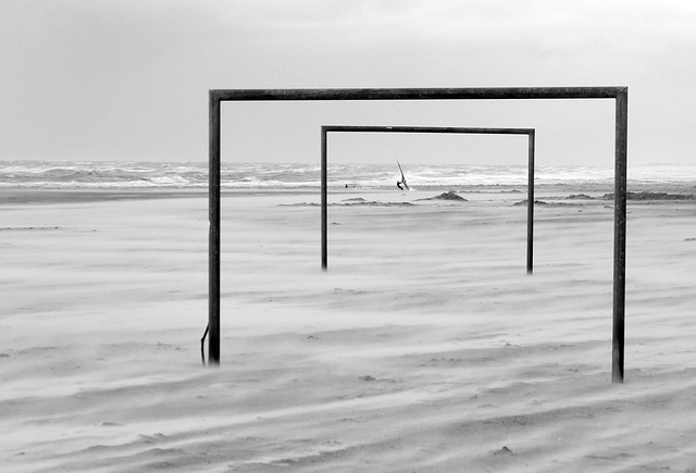 而选择去探 而选择去探