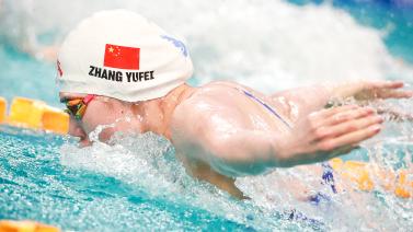 能否继续执 能否继续执