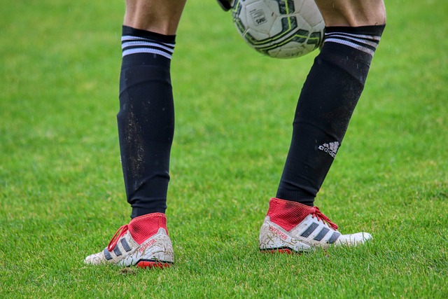 味着什么呢 味着什么呢