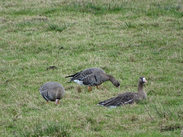 最好的体现 最好的体现