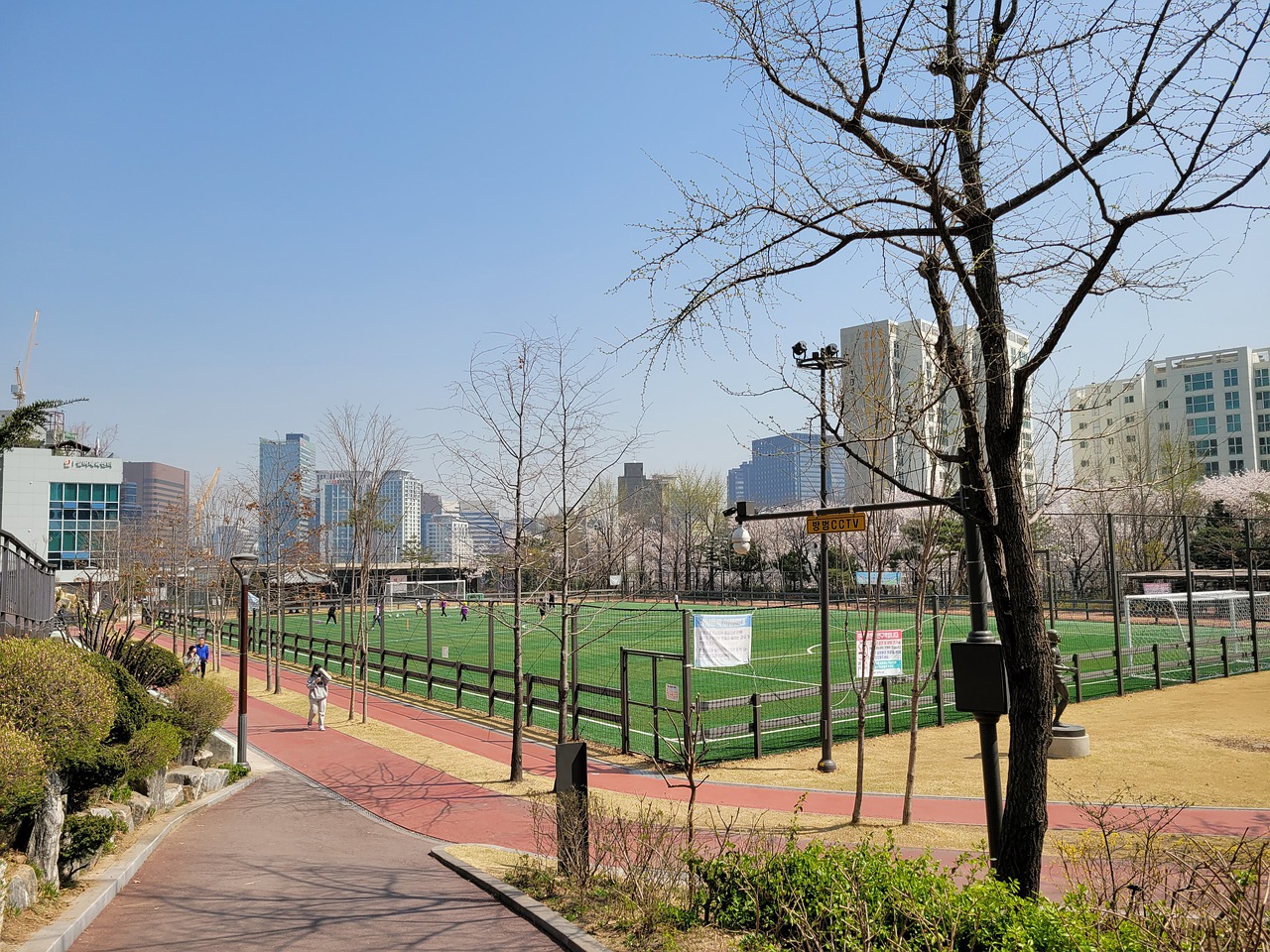 也极为可观 也极为可观