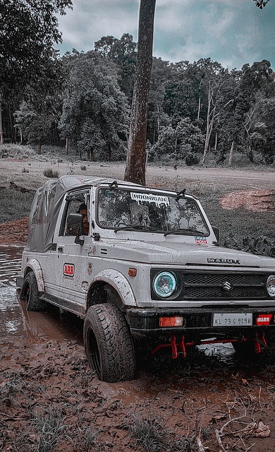 量的出现和 量的出现和